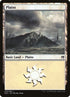 36-plains.jpg