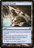 37-soaringseacliff.jpg