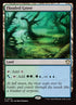 373-floodedgrove