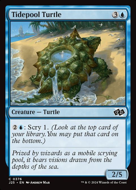 376-tidepoolturtle