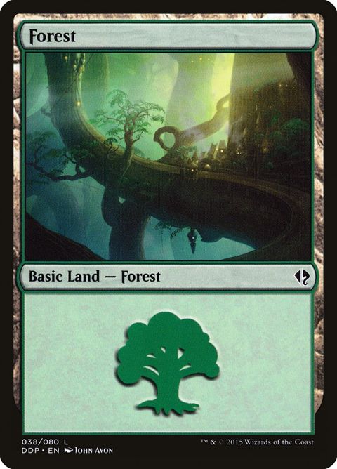 38-forest.jpg