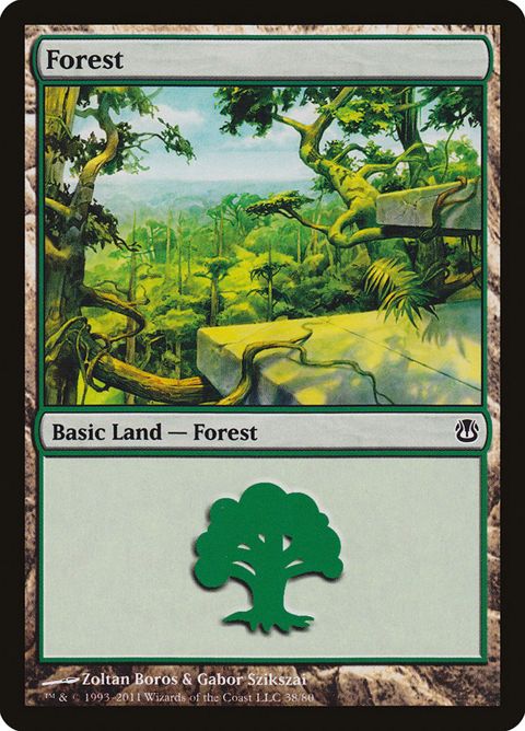 38-forest.jpg