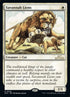 38-savannahlions.jpg