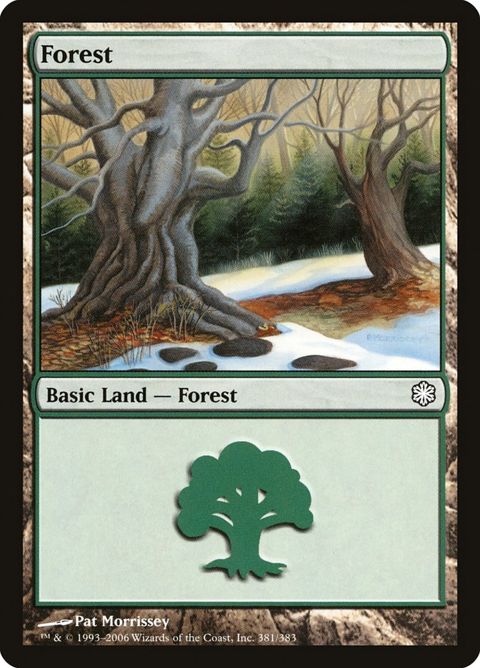 381-forest.jpg