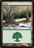 381-forest.jpg