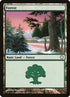 383-forest.jpg