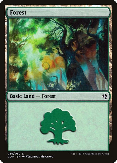 39-forest.jpg
