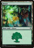 39-forest.jpg