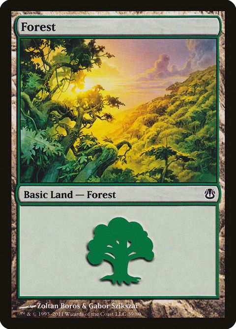 39-forest.jpg