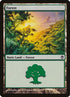 39-forest.jpg