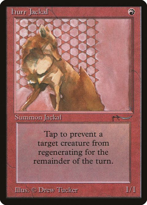 39-hurrjackal.jpg