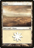 39-plains.jpg