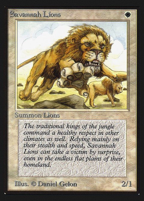 39-savannahlions.jpg