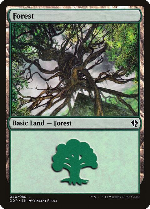 40-forest.jpg
