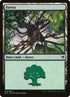 40-forest.jpg