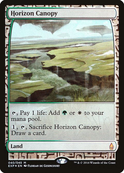 40-horizoncanopy.jpg