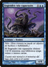 40-islebackspawn.jpg