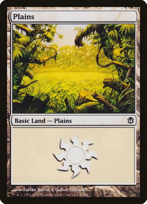 40-plains.jpg