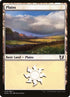 40-plains.jpg