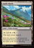 409-sunlitmarsh