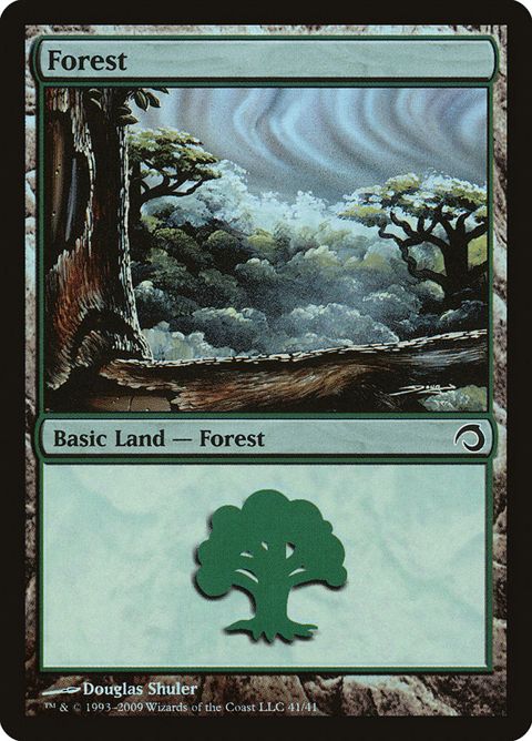 41-forest.jpg