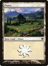41-plains.jpg