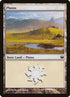 41-plains.jpg