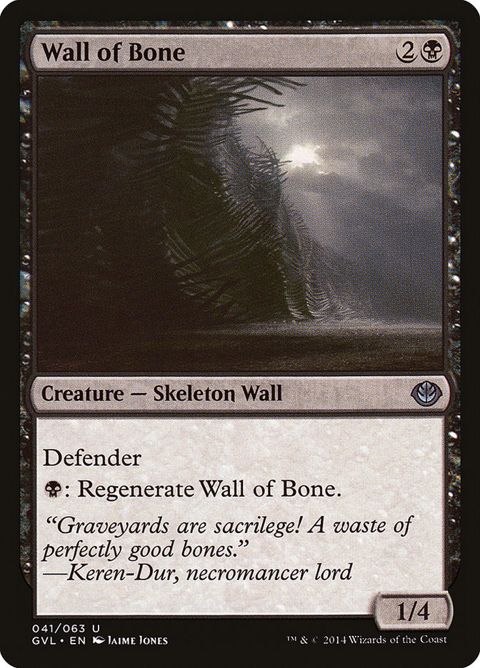 41-wallofbone.jpg