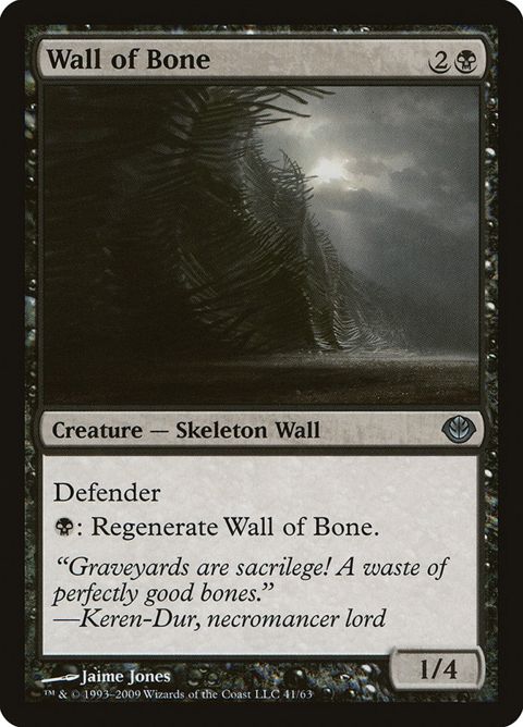 41-wallofbone.jpg