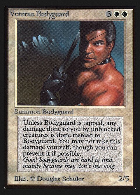 42-veteranbodyguard.jpg