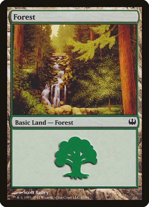 43-forest.jpg