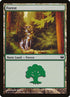 43-forest.jpg