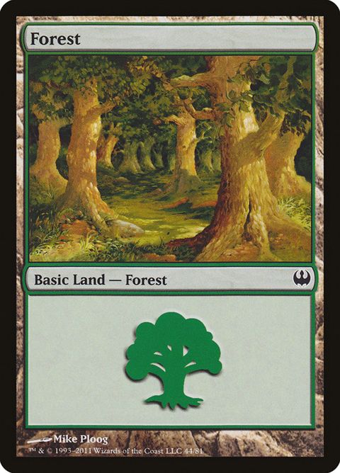 44-forest.jpg