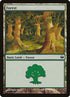 44-forest.jpg