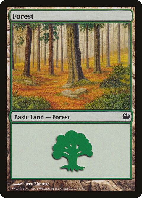 45-forest.jpg