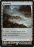 45-wasteland.jpg