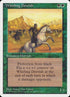 45-whirlingdervish.jpg