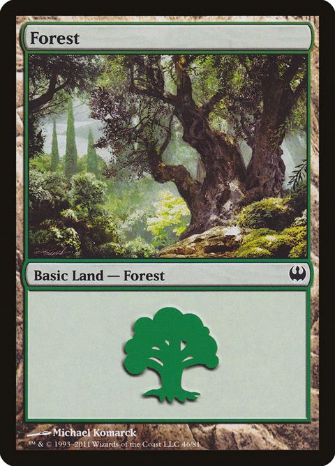 46-forest.jpg
