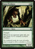 46-kavupredator.jpg