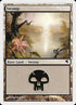 47-swamp.jpg