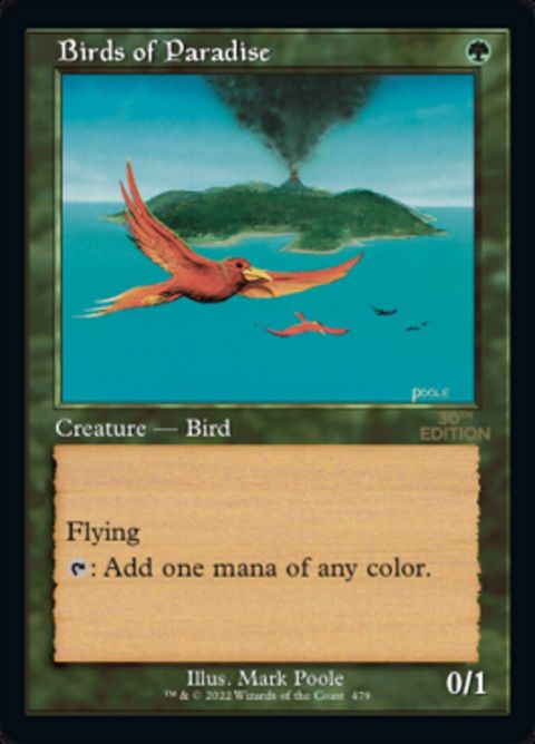 479-birdsofparadise.jpg