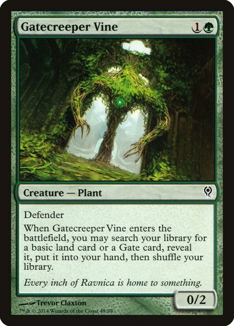 48-gatecreepervine.jpg