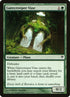48-gatecreepervine.jpg
