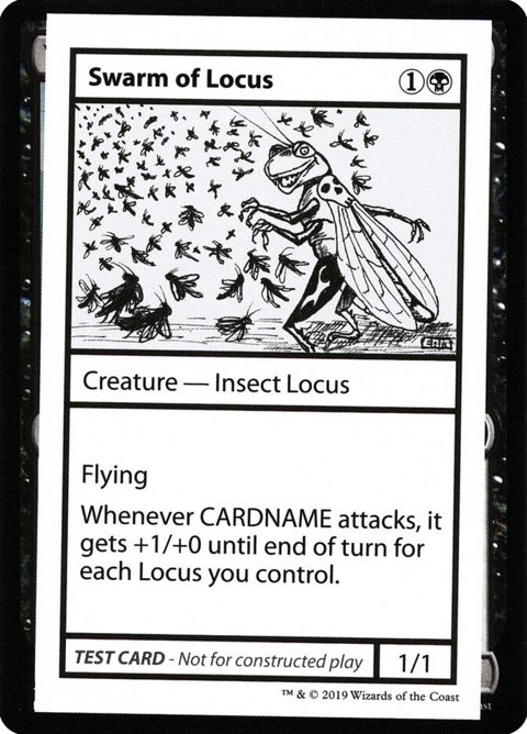 48-swarmoflocus.jpg