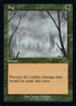 486-fog.jpg