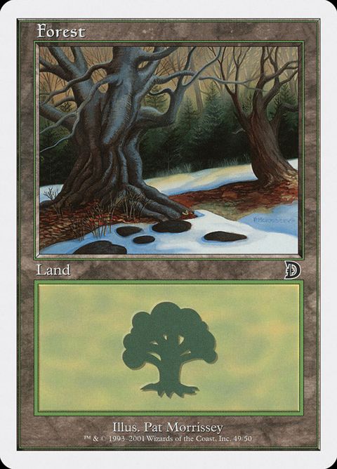 49-forest.jpg