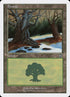 49-forest.jpg