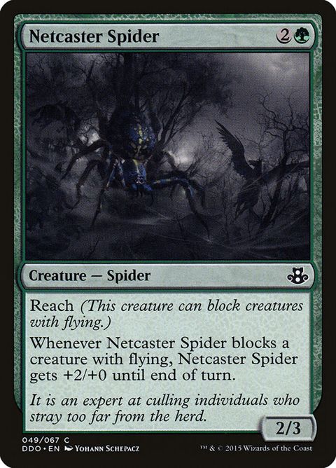 49-netcasterspider.jpg