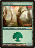 5-dryadarbor.jpg