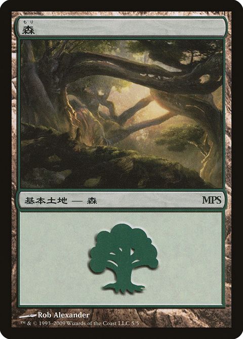 5-forest.jpg